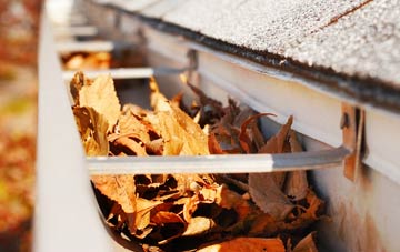 Marshwood gutter cleaning companies